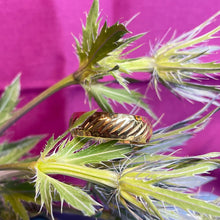 9ct Yellow Gold Band