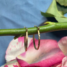 9ct Yellow Gold Hoops