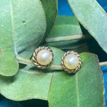 9ct Yellow Gold Pearl Studs