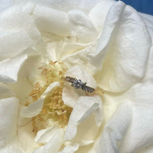 18ct Yellow Gold Diamond Ring