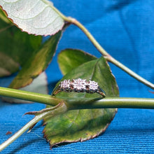 9ct Yellow Gold Diamond Ring